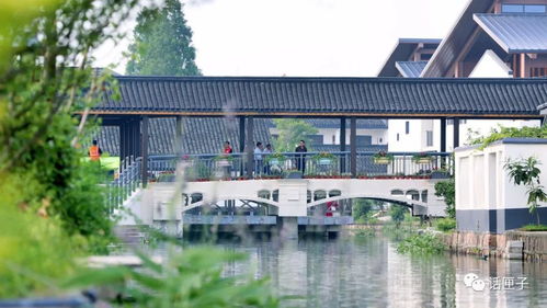 住在風景里，何必還要去找風景——宜興網站建設讓美麗鄉村觸手可及