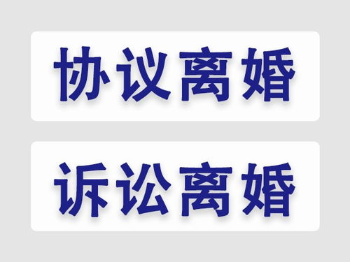 天津河北區(qū)律師 天津承訟法律咨詢(xún)