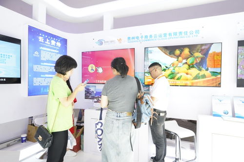 貴州電子商務(wù)云 學經(jīng)驗 覓商機 參展服貿(mào)會收獲頗豐