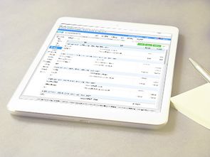 正規(guī)代辦執(zhí)照公司 歡迎來(lái)電 新疆同城定制商務(wù)咨詢供應(yīng)
